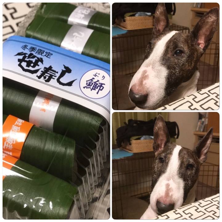 Ff7f87fb dfae 45d4 aa06 98dfcee3ba48 1510051828792