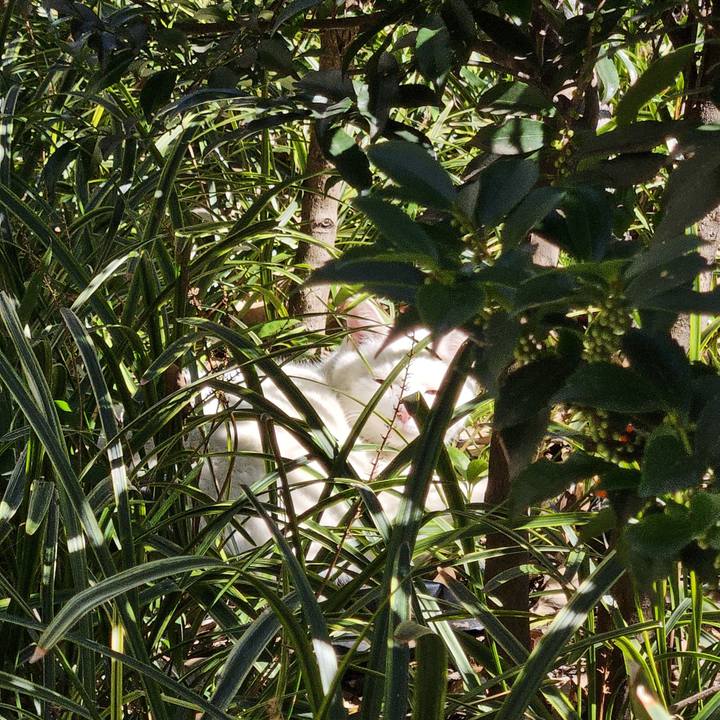 Ff7fb927 309a 47a2 a301 cd8ddc71051a 1709434270680