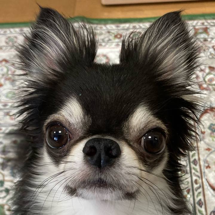 Ff7fc841 bc5d 42b3 b211 f79d1f4c3e5c 1662763649000