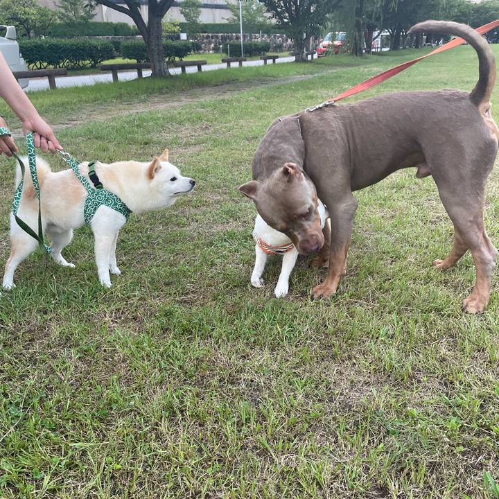 Ff7fd91d 5907 46b0 b161 cc717be8552a 1659273309249