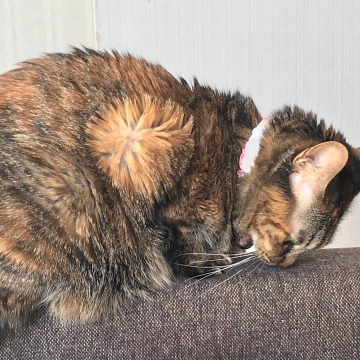 Ff7fda68 1f2b 4d9e bca4 8cd687bd853f 1516020868120