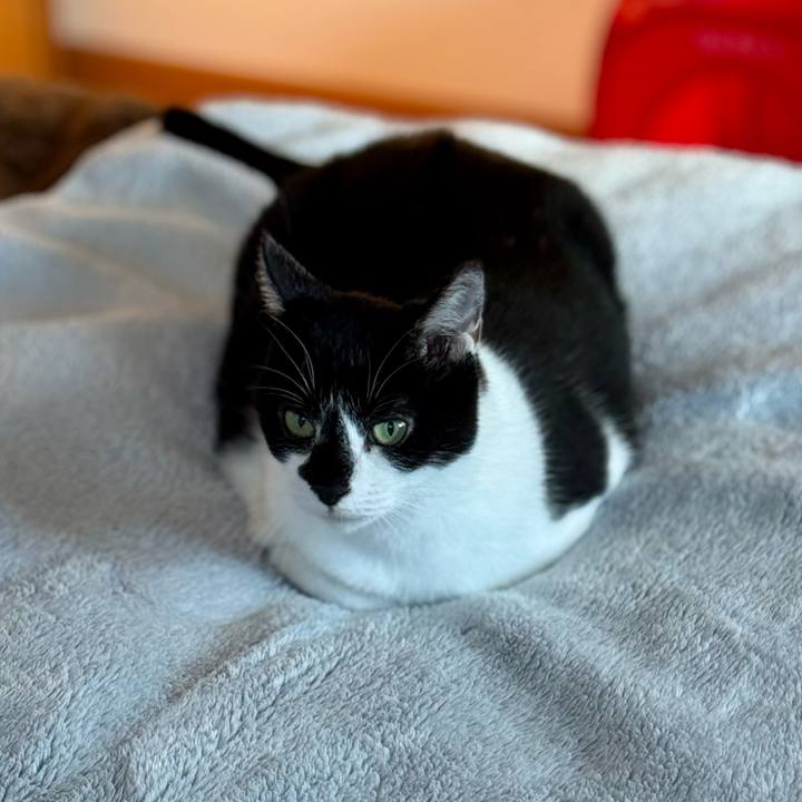 Ff80038e f985 4cb9 b9c9 f994f802b414 1762742554121