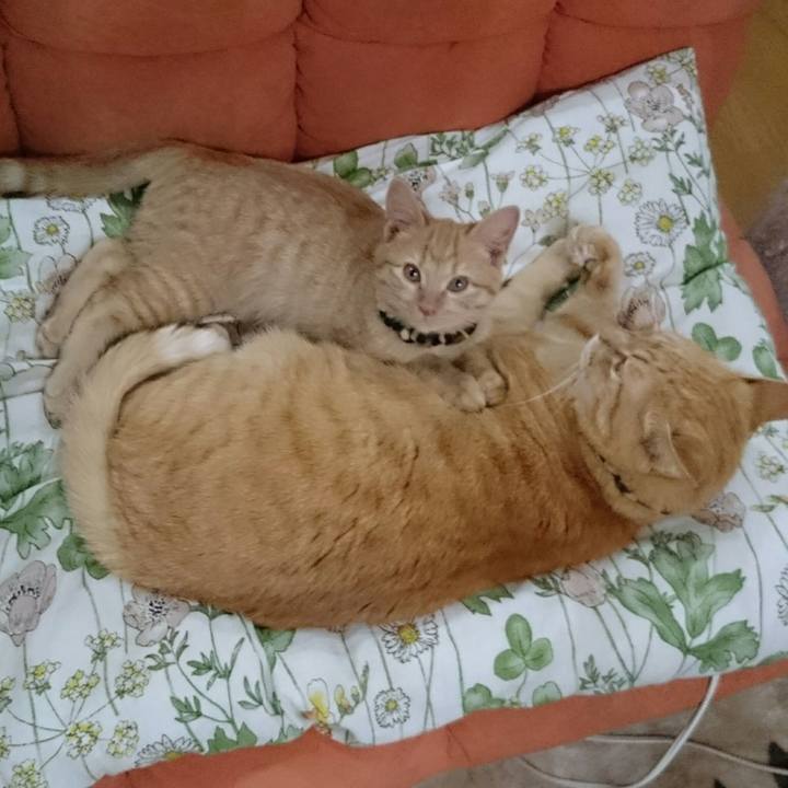 Ff800a22 68d1 448a 921a 052a9e002e2d 1542498464612