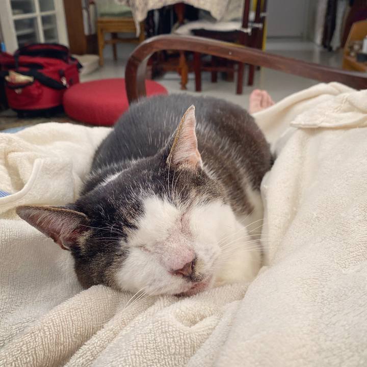 Ff800da9 7363 4155 8744 e61b80cced54 1593937462001