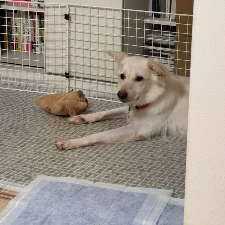 Ff801b0d b77d 4b59 a1c3 ce0824fa9705 1760100713877