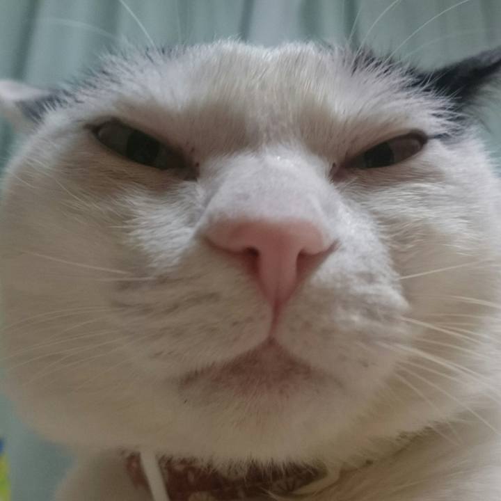 Ff8047b8 814e 403c bdee 5d9545da8550 1518871631105