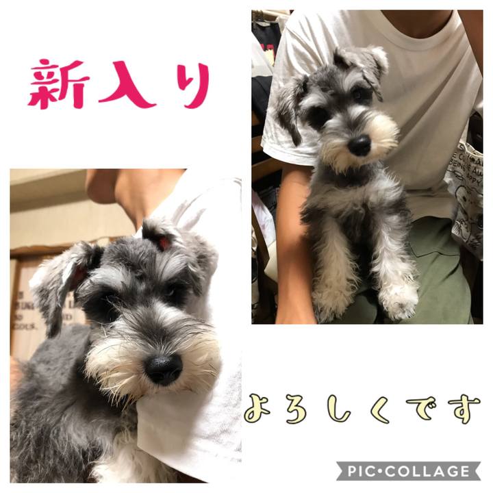 Ff80545a a99d 45e2 a915 4ea3380140fc 1565966178226