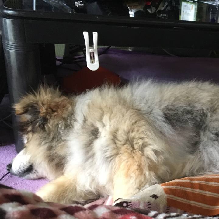 Ff809ac1 8150 4396 bbcf 102de194f7c5 1559862977256