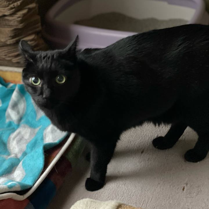 Ff81107f 20f0 455d af04 48ed634e1103 1614736570847