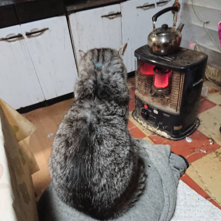 Ff813a86 ab03 4f08 979a 554f23abe0fb 1576966183147