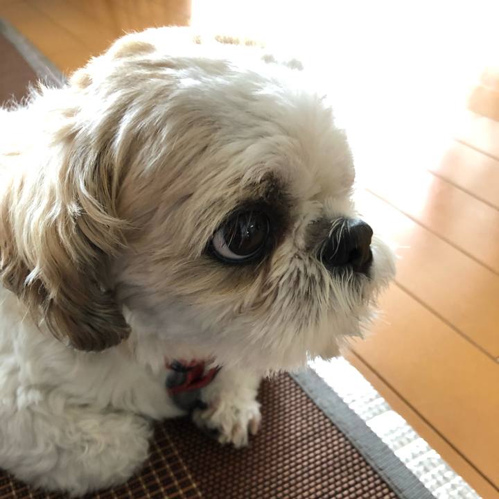 Ff814852 a335 48fa b97b 35ff2ecce9fb 1594849551702