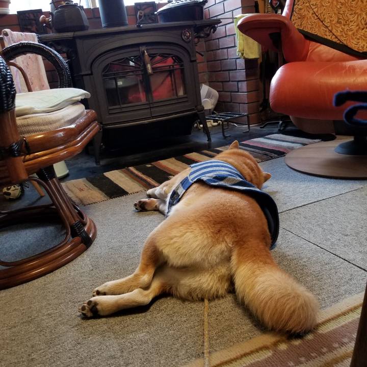 Ff814f55 1355 4d39 8f49 d79cf898af17 1575587793376