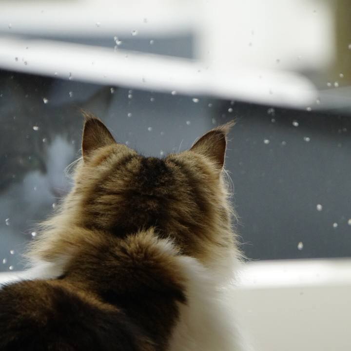 Ff818185 17e0 45e5 8bd4 9b26c1094f95 1556581324177