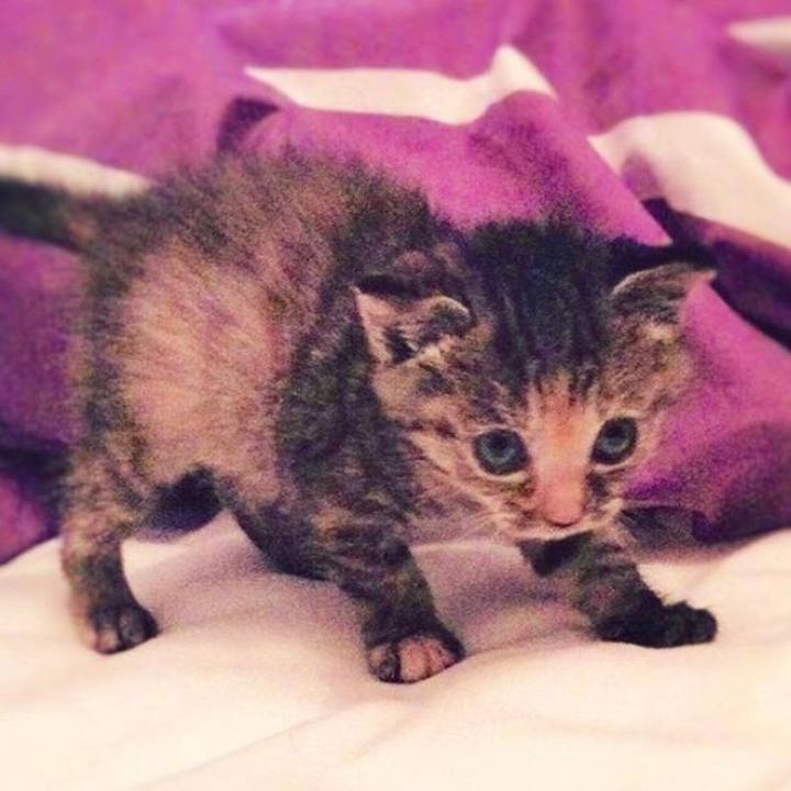 Ff8190d7 21a1 4194 bc7d 684dcb9e7daa 1681080460769