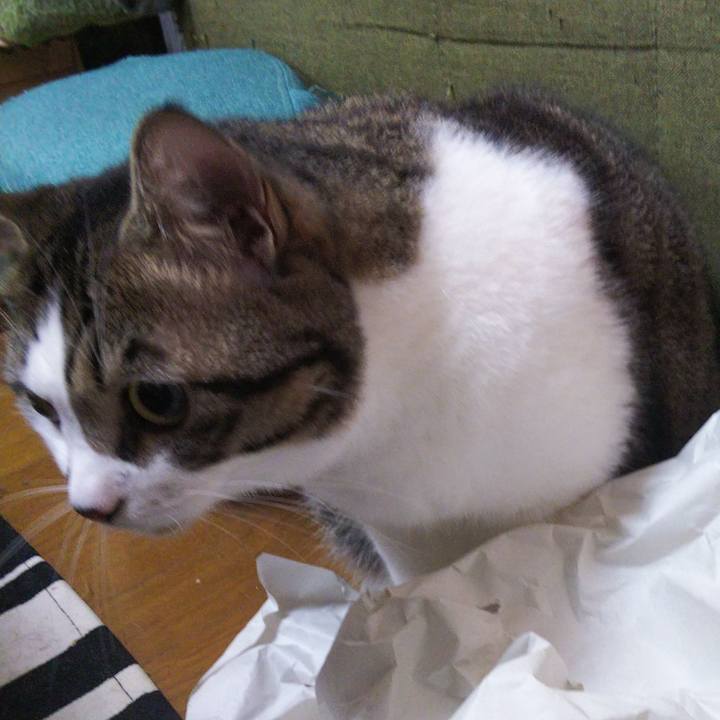 Ff819407 d88d 40c7 9086 9d92e3055902 1663940610434