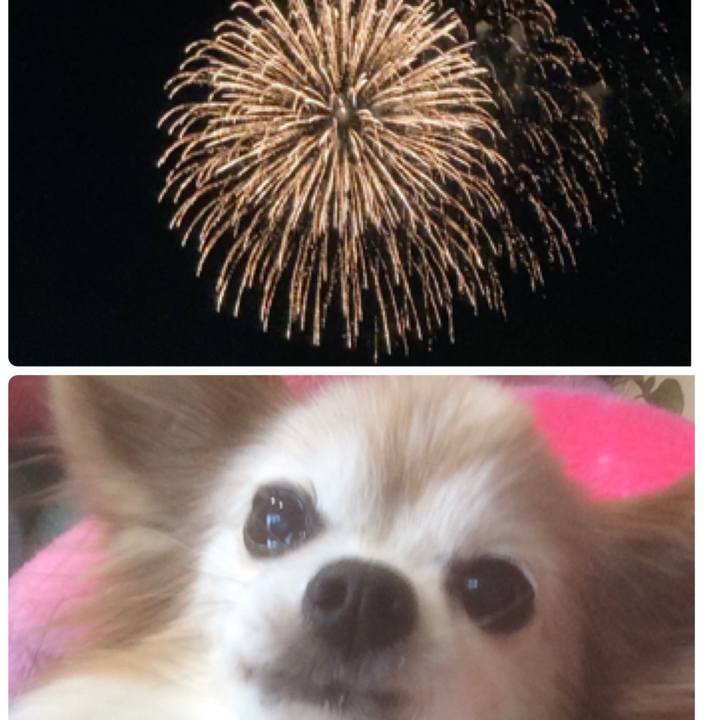 Ff81e093 4c83 464d 8649 d40473f3d8ce 1604141362880