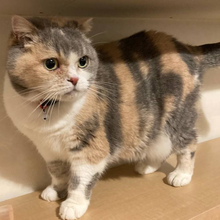 Ff81e193 33e4 49ac b7f2 d3b5646aaa88 1702374547376