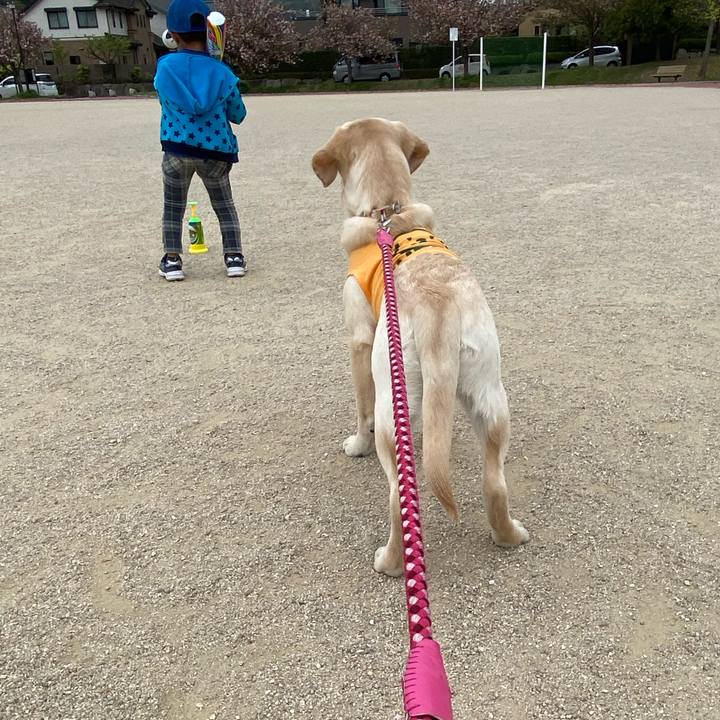 Ff81e400 4e77 4ec8 8ec1 f816e86d53a8 1618229957141