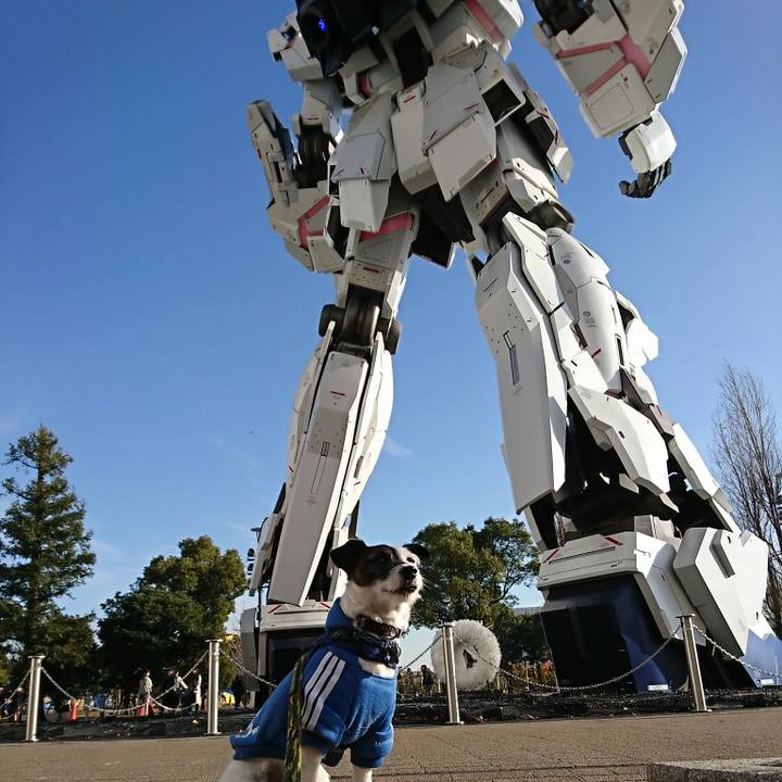 Ff822666 ce99 42fc 9204 9c807cc82c7c 1516082382454