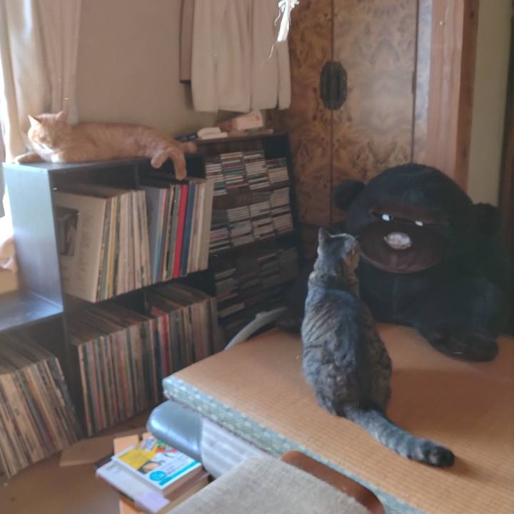 Ff823bd5 30f8 449e aada 3479bdf2b9a9 1693262498905