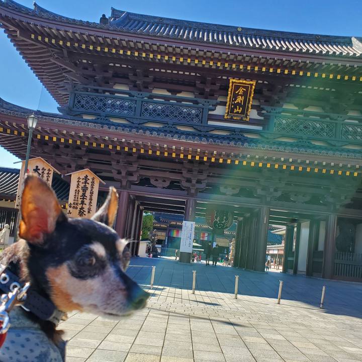 Ff8252a7 c3e8 426f 9e65 675b5fcc0e02 1667020148888