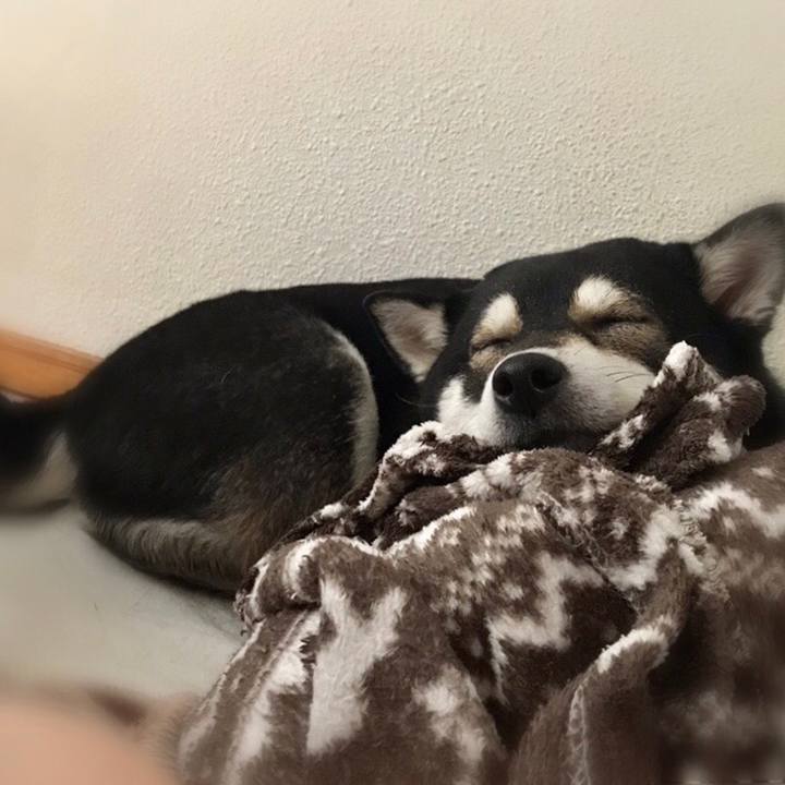 Ff828247 b075 45fb 9bd7 492eefda2117 1556327495153