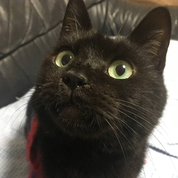 Ff8295dd bf17 4d2a 9378 ce90fb084988 1541835675993