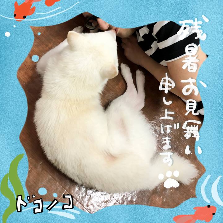 Ff82a03f 9fb9 4dac afb5 466c7f7faa98 1723361857986