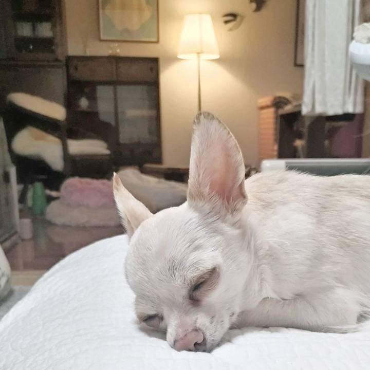 Ff82b9a2 4621 4bbb 81d9 9f50e324023c 1775215487448