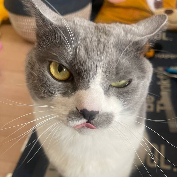 Ff82fbc6 ee64 4d05 8764 56429d041007 1740280635255