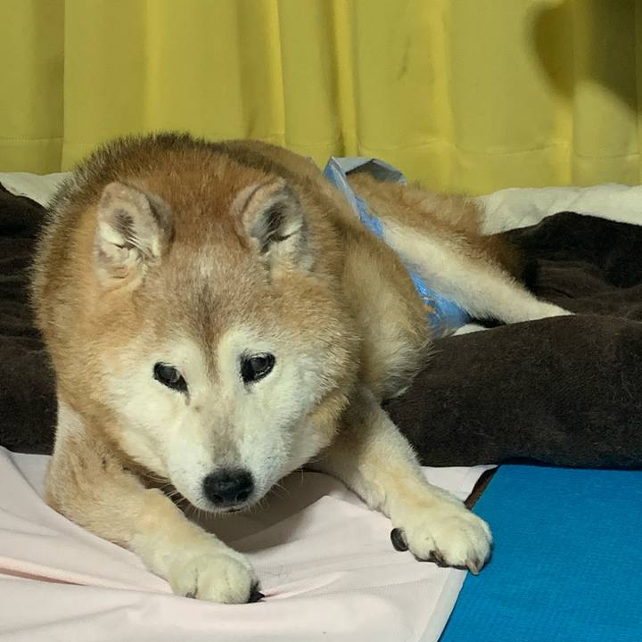 Ff8335d0 1f16 481a 87d7 9184301ea2a8 1687869155759