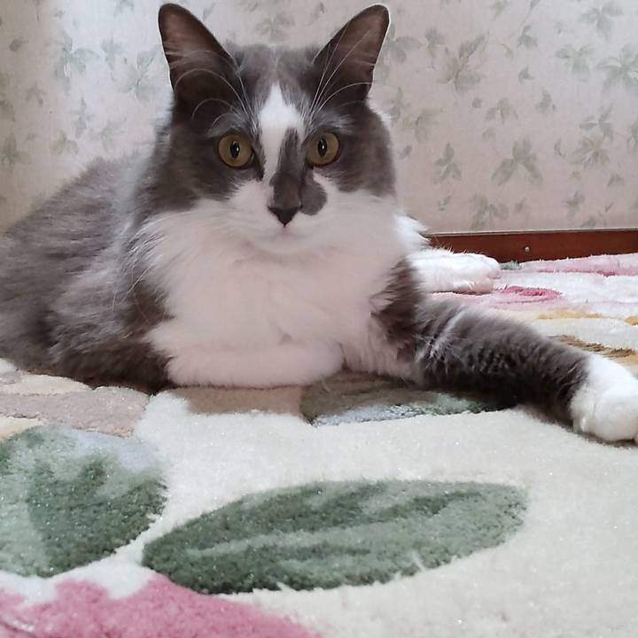 Ff834bf8 f3b6 4ca2 8ae3 1b1b797ff814 1635397276614