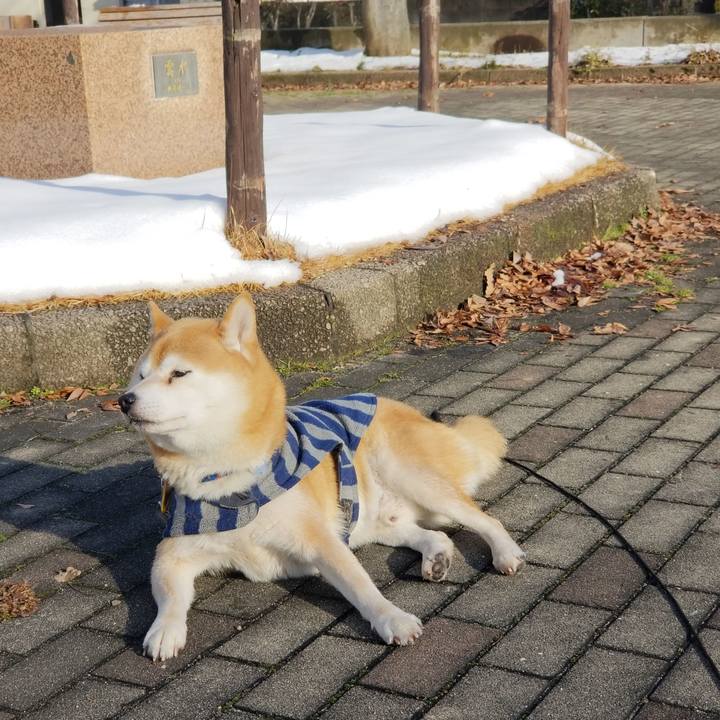 Ff8368f4 b769 490d aecc 3f8ac87f8f49 1578287251153