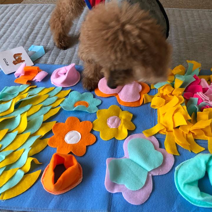 Ff83708c 15f8 456c 9d14 fbd75e4a9745 1628041335135