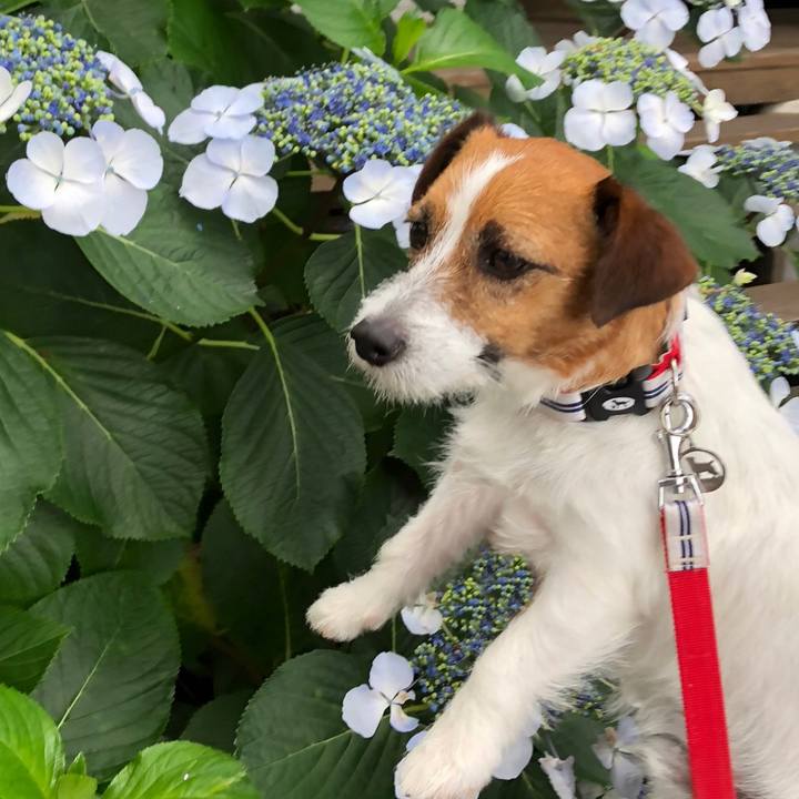 Ff838804 f5a0 4637 9e5a 7e7988831c2e 1528291968833