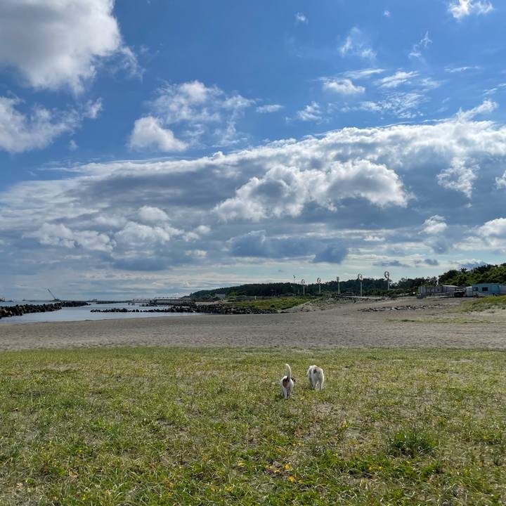 Ff83a362 b7d0 4905 8053 0a2f2675f969 1656890700502