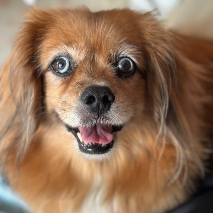 Ff83a64c 346f 4104 9d4d 7051ef9458bc 1755992373967