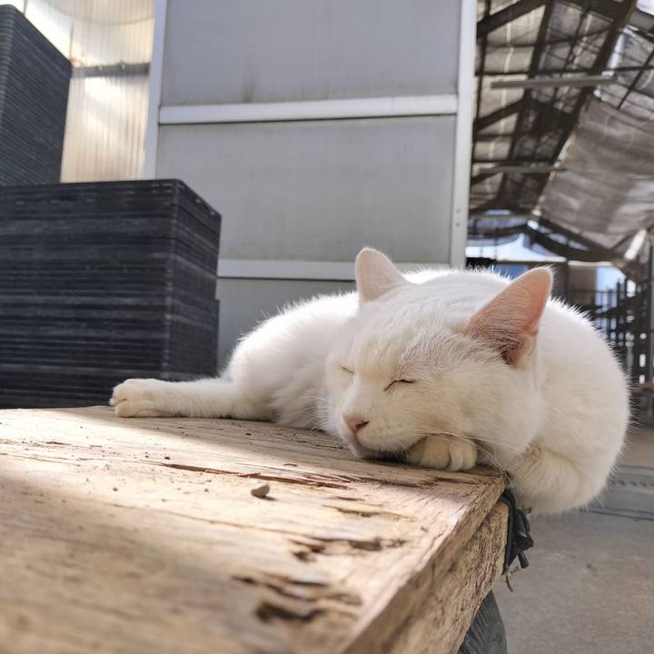 Ff83cbcc dea4 468a 8674 0c054b948ea1 1763257217182