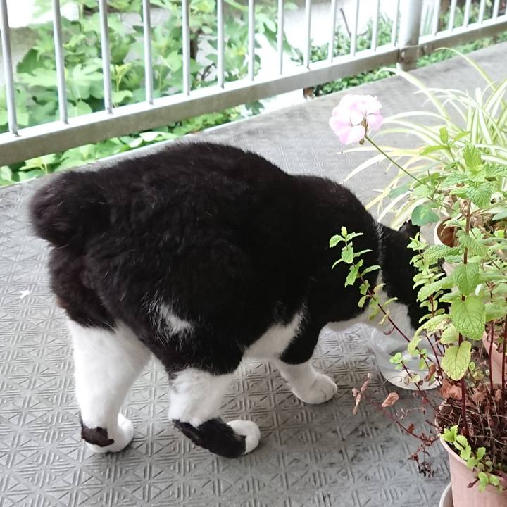 Ff83e2da 7a85 4702 8c26 ae24ee7221d0 1625037429364