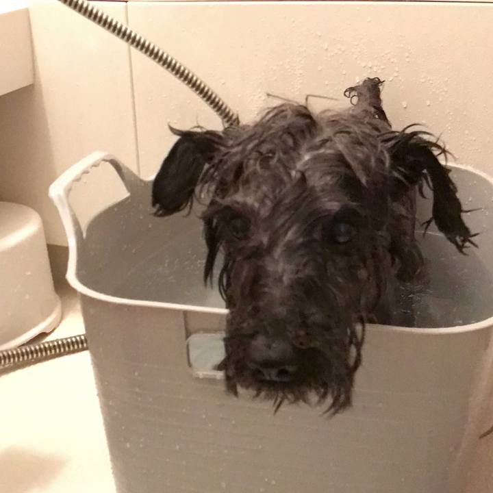 Ff842e5f f24e 4f13 8c4a 1edf19e3006e 1526719850787