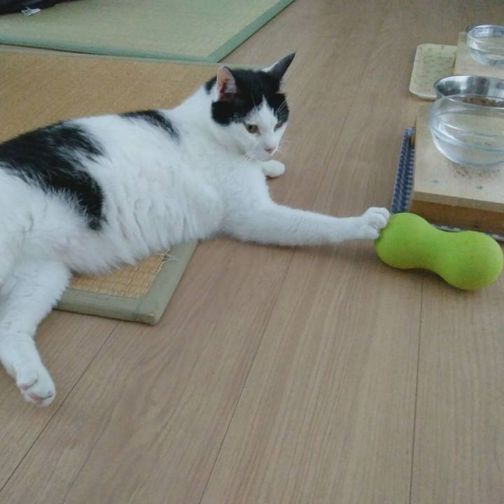 Ff8439f3 4911 4c09 b31c d9fe431b6d26 1531738526372