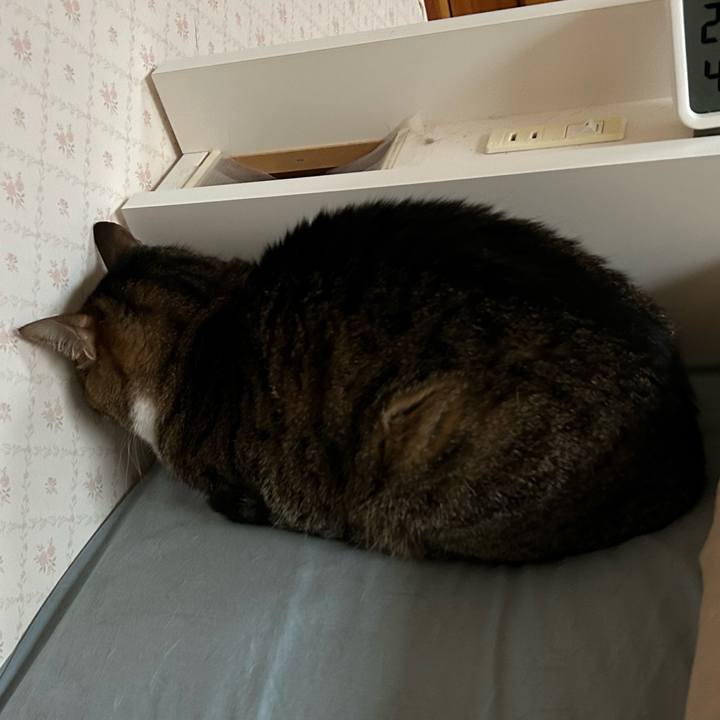 Ff843c82 2d37 489c b8ac c5e33903c9f4 1683493277517