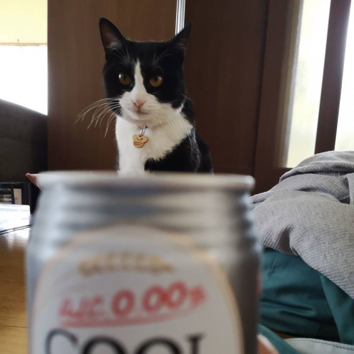 Ff849c3e 077f 43f7 92ce ec82f4464d79 1562425143750