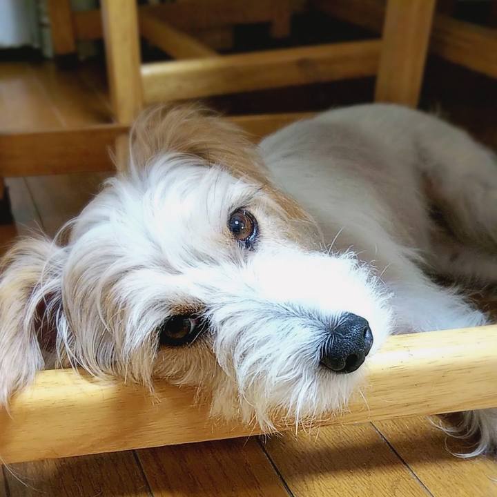 Ff84a7ca f9d3 49cc a8c7 4b6dbd914e8b 1535805918871