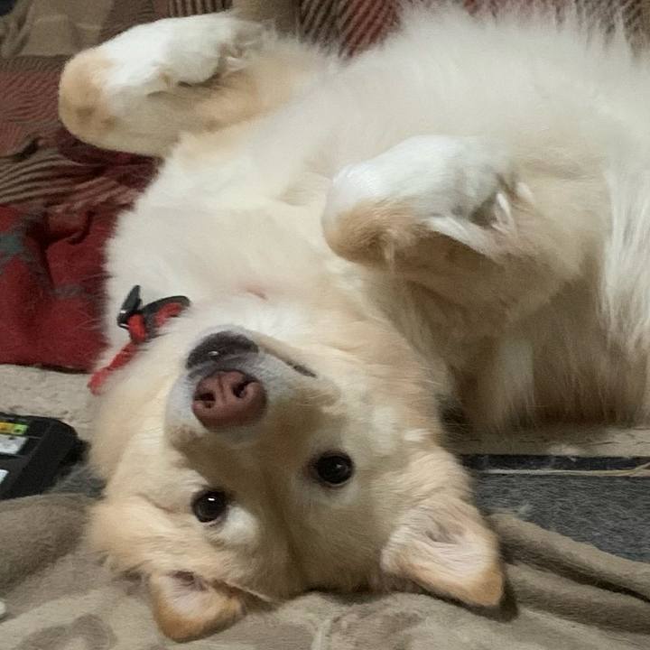 Ff84a8b0 c56b 4301 9449 d17779646302 1651221959181