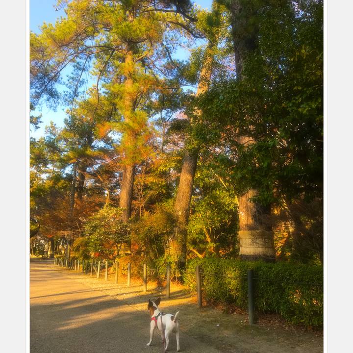 Ff84c00a 2d96 4916 8079 5968b7efc5e8 1513951550674