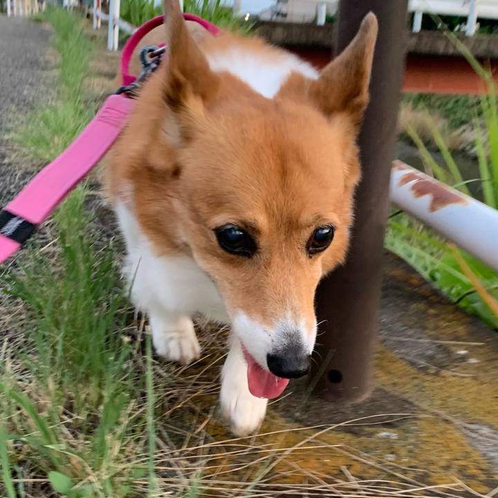 Ff84eef3 6482 40a2 8f57 2a177c8f8432 1718879772160