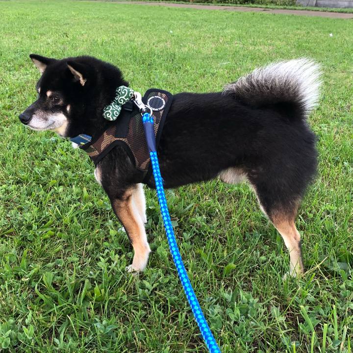 Ff850bd2 2daa 4210 93b1 9ea03274b091 1537875968488