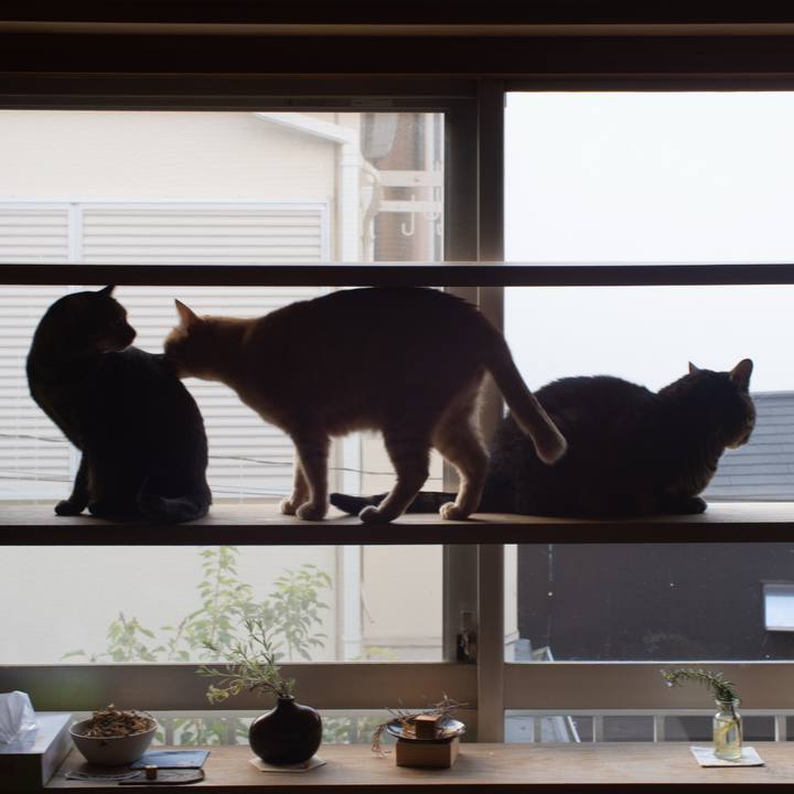 Ff853a72 c6d2 4baf acf9 fa15211d20ba 1761953176452