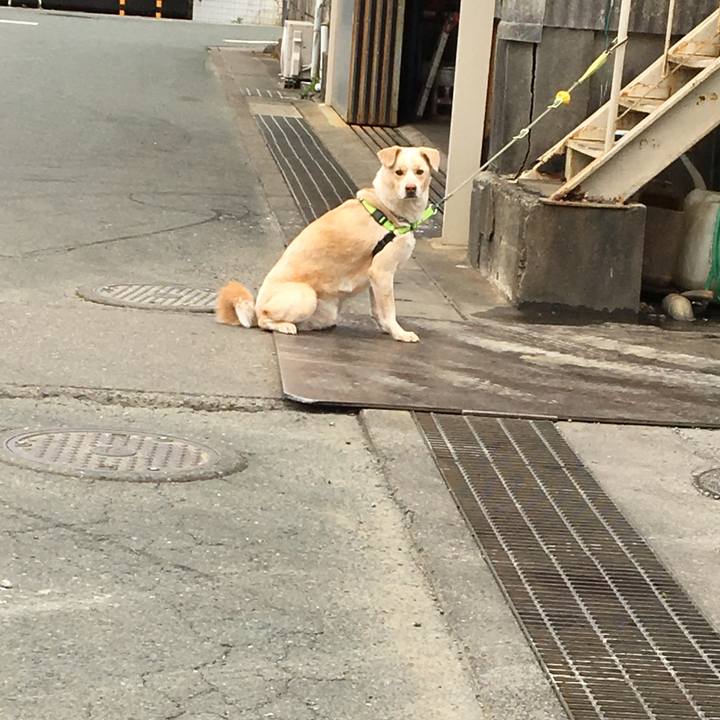 Ff85be54 9ee2 4d99 850b 67e9279b3c9a 1523975124769